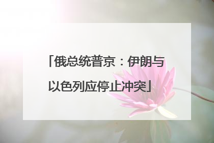 俄总统普京：伊朗与以色列应停止冲突